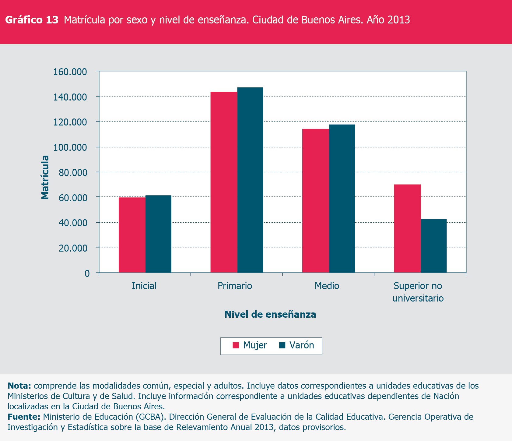 Gráfico 13